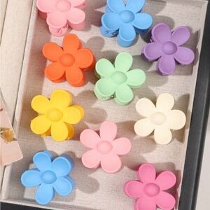 New Set Of 10 Colorful Flower Hair Clips Set